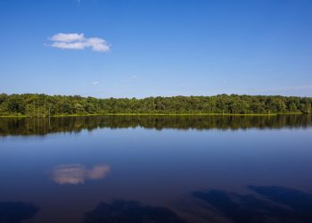 Chewalla Lake. Photo courtesy of recreation.gov